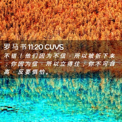 Picture 02 - 罗 马 书 11:20 CUVS - 不 错 ！ 他 们 因 为 不 信 ， 所 以 - Bible Verse Picture