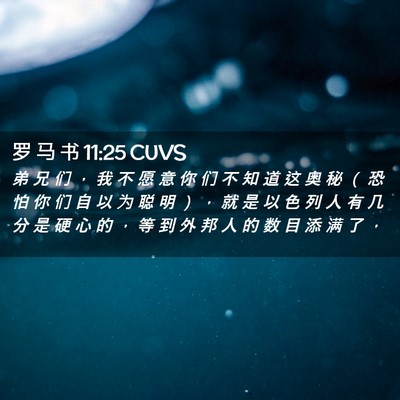 Picture 02 - 罗 马 书 11:25 CUVS - 弟 兄 们 ， 我 不 愿 意 你 们 不 知 - Bible Verse Picture