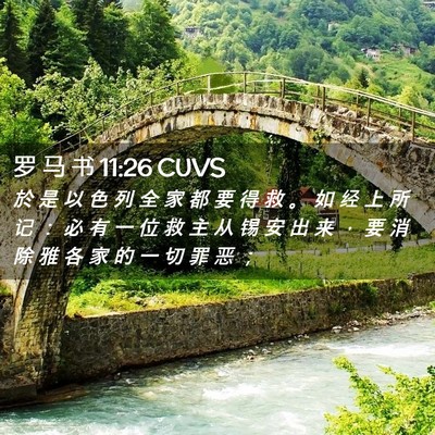 Picture 02 - 罗 马 书 11:26 CUVS - 於 是 以 色 列 全 家 都 要 得 救 。 - Bible Verse Picture