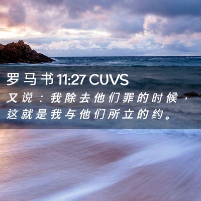 Picture 02 - 罗 马 书 11:27 CUVS - 又 说 ： 我 除 去 他 们 罪 的 时 候 - Bible Verse Picture