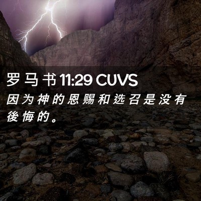 Picture 02 - 罗 马 书 11:29 CUVS - 因 为 神 的 恩 赐 和 选 召 是 没 有 - Bible Verse Picture