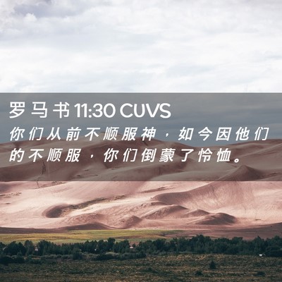 Picture 02 - 罗 马 书 11:30 CUVS - 你 们 从 前 不 顺 服 神 ， 如 今 因 - Bible Verse Picture