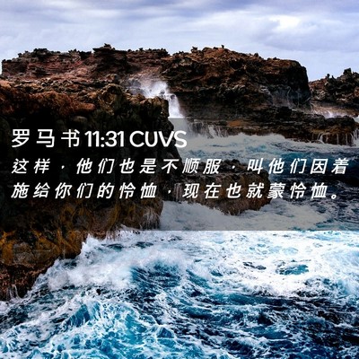 Picture 02 - 罗 马 书 11:31 CUVS - 这 样 ， 他 们 也 是 不 顺 服 ， 叫 - Bible Verse Picture