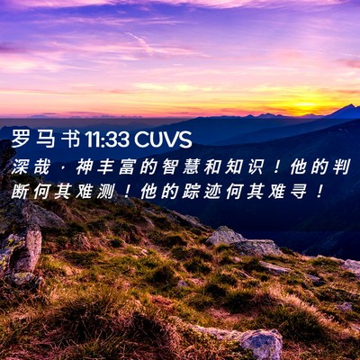 Picture 02 - 罗 马 书 11:33 CUVS - 深 哉 ， 神 丰 富 的 智 慧 和 知 识 - Bible Verse Picture
