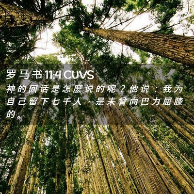 Picture 02 - 罗 马 书 11:4 CUVS - 神 的 回 话 是 怎 麽 说 的 呢 ？ 他 - Bible Verse Picture