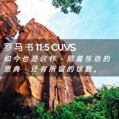 Picture 02 - 罗 马 书 11:5 CUVS - 如 今 也 是 这 样 ， 照 着 拣 选 的 - Bible Verse Picture