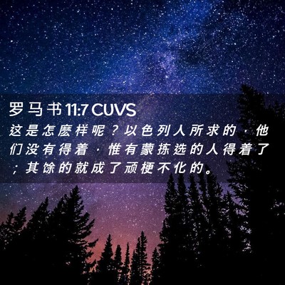 Picture 02 - 罗 马 书 11:7 CUVS - 这 是 怎 麽 样 呢 ？ 以 色 列 人 所 - Bible Verse Picture