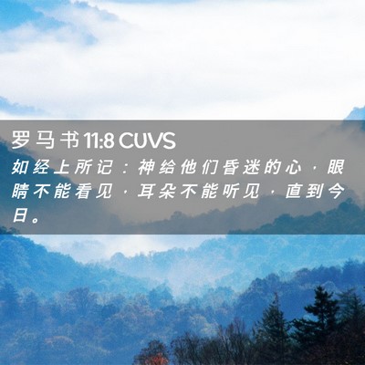 Picture 02 - 罗 马 书 11:8 CUVS - 如 经 上 所 记 ： 神 给 他 们 昏 迷 - Bible Verse Picture