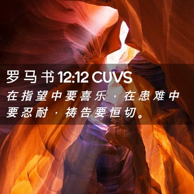 Picture 02 - 罗 马 书 12:12 CUVS - 在 指 望 中 要 喜 乐 ， 在 患 难 中 - Bible Verse Picture