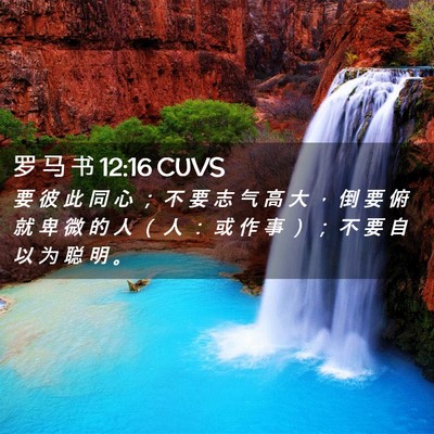 Picture 02 - 罗 马 书 12:16 CUVS - 要 彼 此 同 心 ； 不 要 志 气 高 大 - Bible Verse Picture
