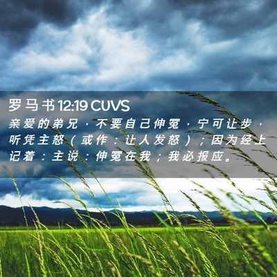 Picture 02 - 罗 马 书 12:19 CUVS - 亲 爱 的 弟 兄 ， 不 要 自 己 伸 冤 - Bible Verse Picture