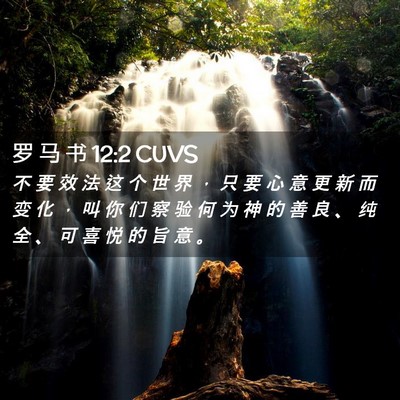 Picture 02 - 罗 马 书 12:2 CUVS - 不 要 效 法 这 个 世 界 ， 只 要 心 - Bible Verse Picture