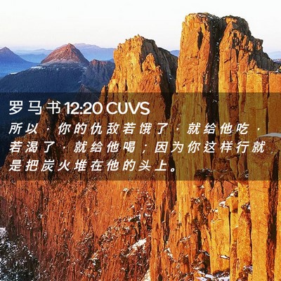Picture 02 - 罗 马 书 12:20 CUVS - 所 以 ， 你 的 仇 敌 若 饿 了 ， 就 - Bible Verse Picture