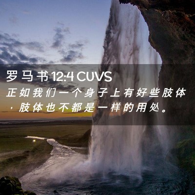 Picture 02 - 罗 马 书 12:4 CUVS - 正 如 我 们 一 个 身 子 上 有 好 些 - Bible Verse Picture