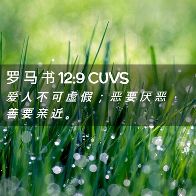 Picture 02 - 罗 马 书 12:9 CUVS - 爱 人 不 可 虚 假 ； 恶 要 厌 恶 ， - Bible Verse Picture