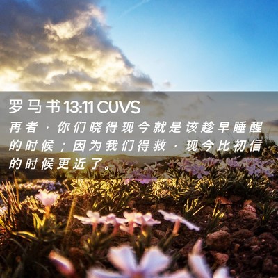 Picture 02 - 罗 马 书 13:11 CUVS - 再 者 ， 你 们 晓 得 现 今 就 是 该 - Bible Verse Picture