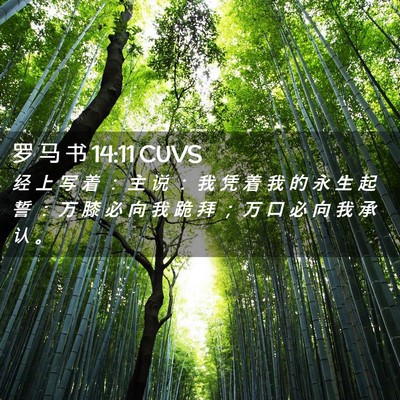 Picture 02 - 罗 马 书 14:11 CUVS - 经 上 写 着 ： 主 说 ： 我 凭 着 我 - Bible Verse Picture