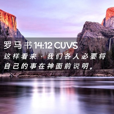 Picture 02 - 罗 马 书 14:12 CUVS - 这 样 看 来 ， 我 们 各 人 必 要 将 - Bible Verse Picture