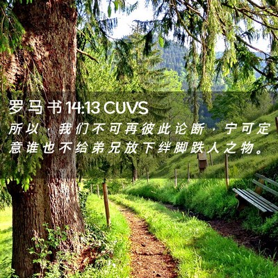 Picture 02 - 罗 马 书 14:13 CUVS - 所 以 ， 我 们 不 可 再 彼 此 论 断 - Bible Verse Picture