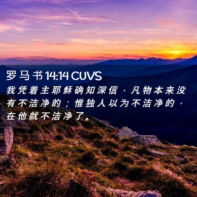 Picture 02 - 罗 马 书 14:14 CUVS - 我 凭 着 主 耶 稣 确 知 深 信 ， 凡 - Bible Verse Picture