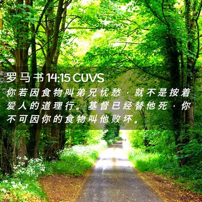 Picture 02 - 罗 马 书 14:15 CUVS - 你 若 因 食 物 叫 弟 兄 忧 愁 ， 就 - Bible Verse Picture