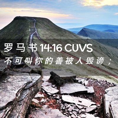 Picture 02 - 罗 马 书 14:16 CUVS - 不 可 叫 你 的 善 被 人 毁 谤 - Bible Verse Picture