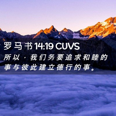 Picture 02 - 罗 马 书 14:19 CUVS - 所 以 ， 我 们 务 要 追 求 和 睦 的 - Bible Verse Picture