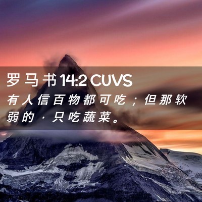 Picture 02 - 罗 马 书 14:2 CUVS - 有 人 信 百 物 都 可 吃 ； 但 那 软 - Bible Verse Picture