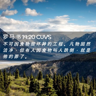 Picture 02 - 罗 马 书 14:20 CUVS - 不 可 因 食 物 毁 坏 神 的 工 程 。 - Bible Verse Picture