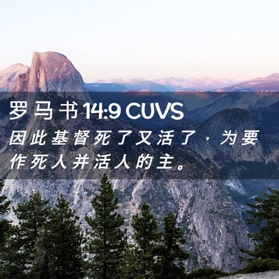 Picture 02 - 罗 马 书 14:9 CUVS - 因 此 基 督 死 了 又 活 了 ， 为 要 - Bible Verse Picture