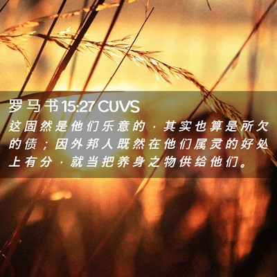 Picture 02 - 罗 马 书 15:27 CUVS - 这 固 然 是 他 们 乐 意 的 ， 其 实 - Bible Verse Picture