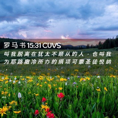 Picture 02 - 罗 马 书 15:31 CUVS - 叫 我 脱 离 在 犹 太 不 顺 从 的 人 - Bible Verse Picture