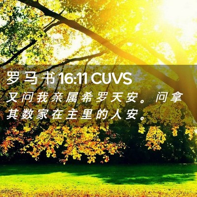 Picture 02 - 罗 马 书 16:11 CUVS - 又 问 我 亲 属 希 罗 天 安 。 问 拿 - Bible Verse Picture