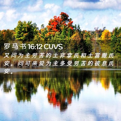 Picture 02 - 罗 马 书 16:12 CUVS - 又 问 为 主 劳 苦 的 土 非 拿 氏 和 - Bible Verse Picture