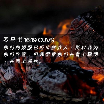 Picture 02 - 罗 马 书 16:19 CUVS - 你 们 的 顺 服 已 经 传 於 众 人 ， - Bible Verse Picture