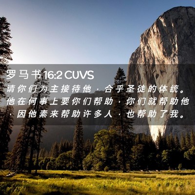 Picture 02 - 罗 马 书 16:2 CUVS - 请 你 们 为 主 接 待 他 ， 合 乎 圣 - Bible Verse Picture