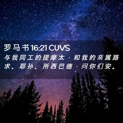 Picture 02 - 罗 马 书 16:21 CUVS - 与 我 同 工 的 提 摩 太 ， 和 我 的 - Bible Verse Picture
