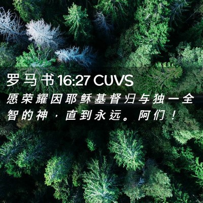 Picture 02 - 罗 马 书 16:27 CUVS - 愿 荣 耀 因 耶 稣 基 督 归 与 独 一 - Bible Verse Picture