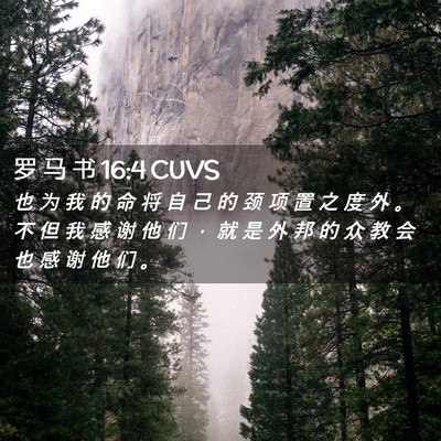 Picture 02 - 罗 马 书 16:4 CUVS - 也 为 我 的 命 将 自 己 的 颈 项 置 - Bible Verse Picture