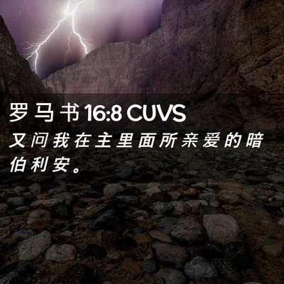 Picture 02 - 罗 马 书 16:8 CUVS - 又 问 我 在 主 里 面 所 亲 爱 的 暗 - Bible Verse Picture