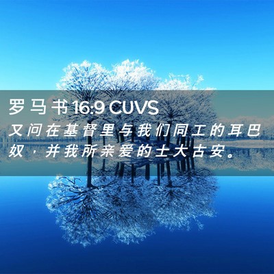 Picture 02 - 罗 马 书 16:9 CUVS - 又 问 在 基 督 里 与 我 们 同 工 的 - Bible Verse Picture