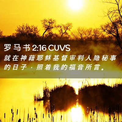 Picture 02 - 罗 马 书 2:16 CUVS - 就 在 神 藉 耶 稣 基 督 审 判 人 隐 - Bible Verse Picture