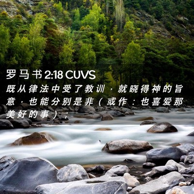 Picture 02 - 罗 马 书 2:18 CUVS - 既 从 律 法 中 受 了 教 训 ， 就 晓 - Bible Verse Picture