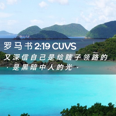 Picture 02 - 罗 马 书 2:19 CUVS - 又 深 信 自 己 是 给 瞎 子 领 路 的 - Bible Verse Picture