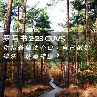 Picture 02 - 罗 马 书 2:23 CUVS - 你 指 着 律 法 夸 口 ， 自 己 倒 犯 - Bible Verse Picture