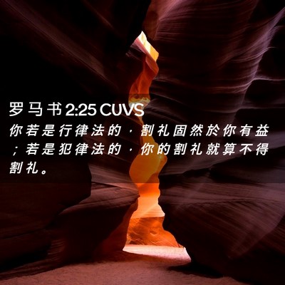 Picture 02 - 罗 马 书 2:25 CUVS - 你 若 是 行 律 法 的 ， 割 礼 固 然 - Bible Verse Picture