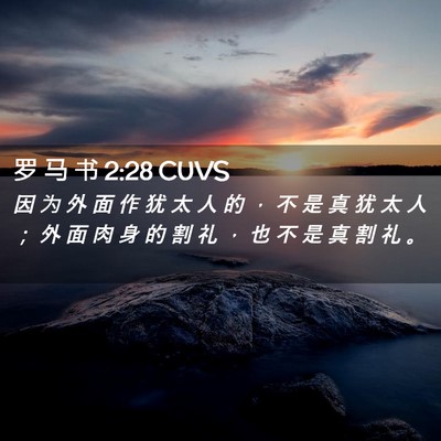 Picture 02 - 罗 马 书 2:28 CUVS - 因 为 外 面 作 犹 太 人 的 ， 不 是 - Bible Verse Picture