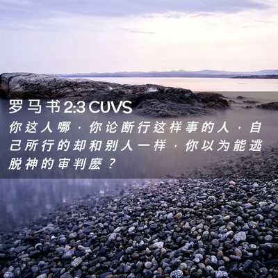 Picture 02 - 罗 马 书 2:3 CUVS - 你 这 人 哪 ， 你 论 断 行 这 样 事 - Bible Verse Picture