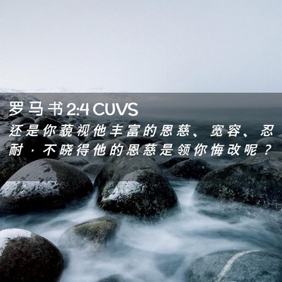Picture 02 - 罗 马 书 2:4 CUVS - 还 是 你 藐 视 他 丰 富 的 恩 慈 、 - Bible Verse Picture