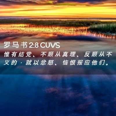 Picture 02 - 罗 马 书 2:8 CUVS - 惟 有 结 党 、 不 顺 从 真 理 、 反 - Bible Verse Picture